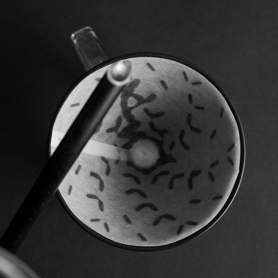 Dripper Graycano + Manga - Volcán