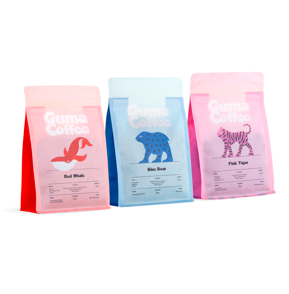 Pack Espresso