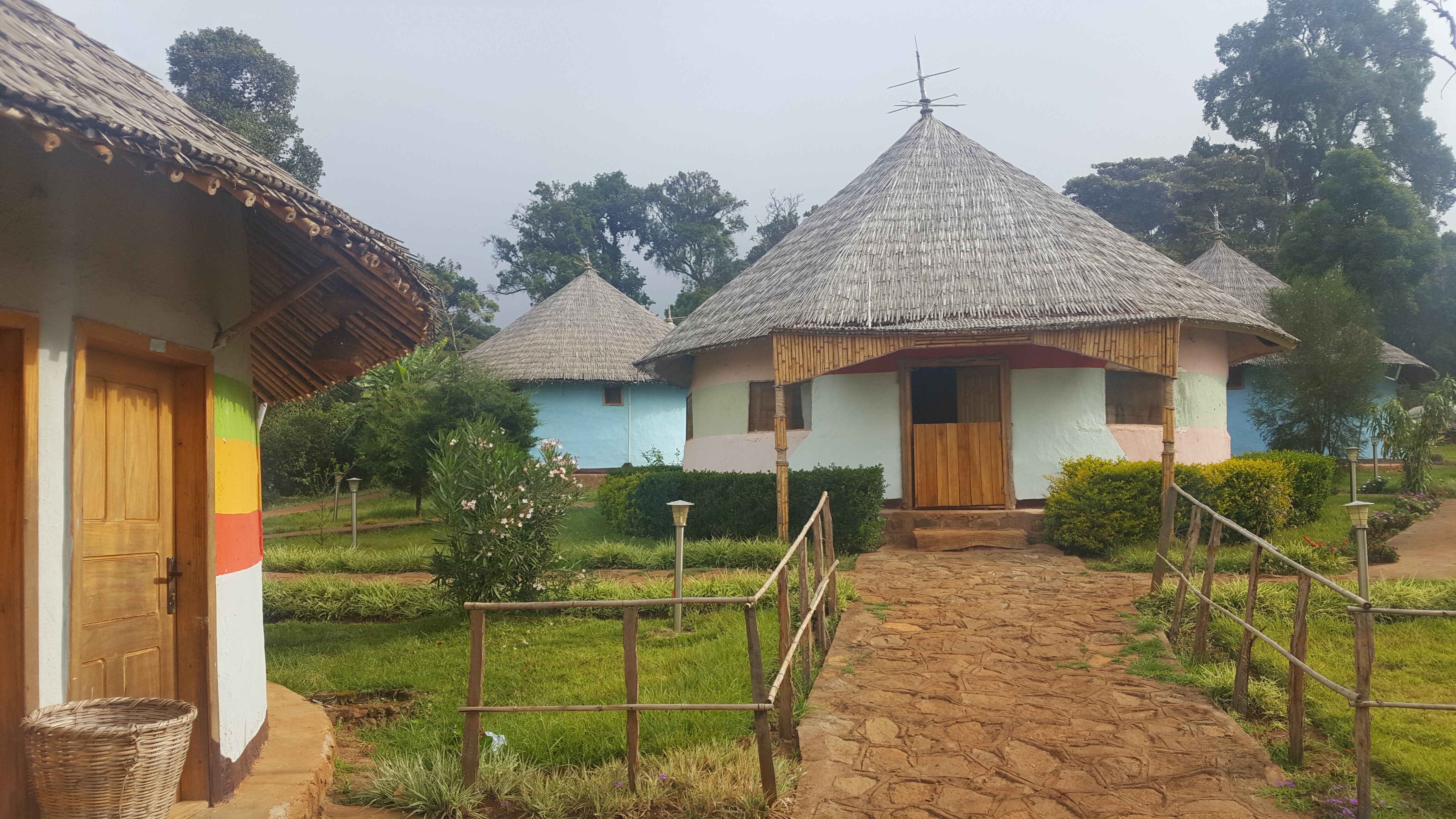 Winner Horse, Etiopía Natural